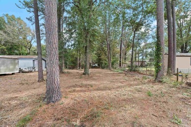 Three adjoining deeded lots featuring a 16' x 76' Champion - photo 11