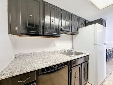 Prime condo Investment property with low HOA and great location - photo 12