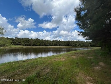 Stunning 57-Acre Recreational Retreat Near Tylertown Discover - photo 12