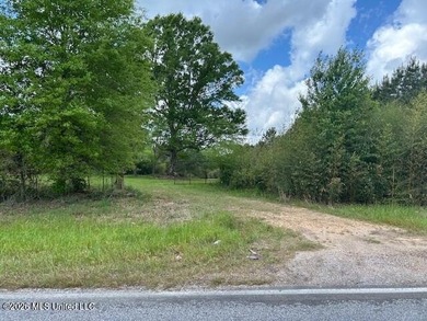 Stunning 57-Acre Recreational Retreat Near Tylertown Discover - photo 14