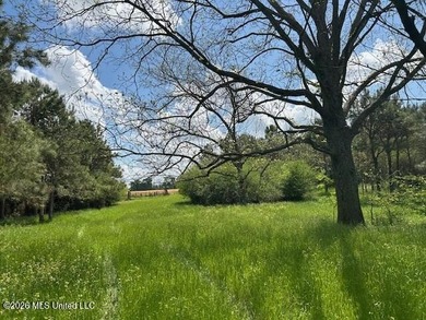 Stunning 57-Acre Recreational Retreat Near Tylertown Discover - photo 16