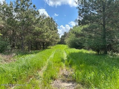 Stunning 57-Acre Recreational Retreat Near Tylertown Discover - photo 19