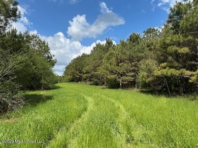 Stunning 57-Acre Recreational Retreat Near Tylertown Discover - photo 20