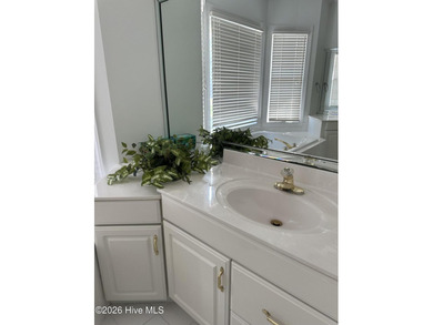 Beautiful brick home in much sought after neighborhood The Cape - photo 21