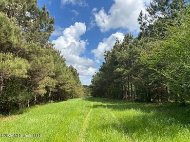 Stunning 57-Acre Recreational Retreat Near Tylertown Discover - photo 23
