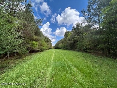Stunning 57-Acre Recreational Retreat Near Tylertown Discover - photo 24