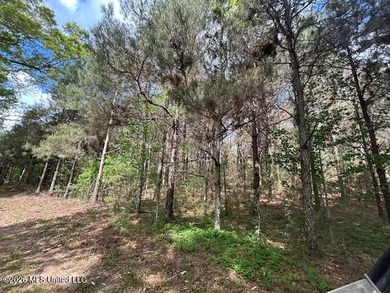 Stunning 57-Acre Recreational Retreat Near Tylertown Discover - photo 28