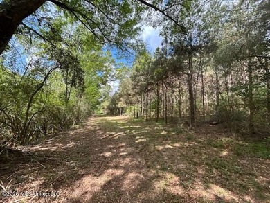 Stunning 57-Acre Recreational Retreat Near Tylertown Discover - photo 29