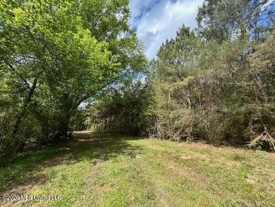 Stunning 57-Acre Recreational Retreat Near Tylertown Discover - photo 30