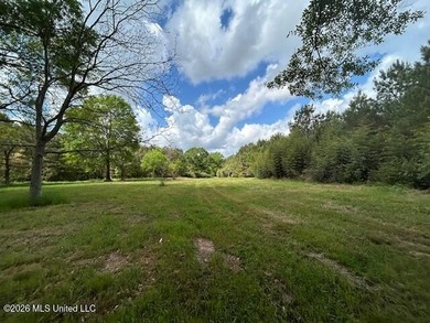 Stunning 57-Acre Recreational Retreat Near Tylertown Discover - photo 32