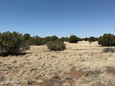 White Mountain Lake Lot Sale Pending in Show Low Arizona
