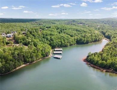Experience elevated Lake Lanier living in this exceptional new - photo 6