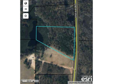 Lake Acreage For Sale in Sneads, Florida