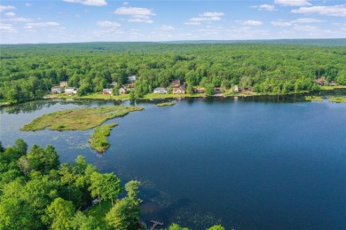 Lake Home For Sale in Rock Hill, New York