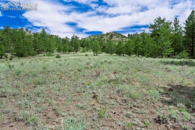(private lake, pond, creek) Acreage For Sale in Guffey Colorado