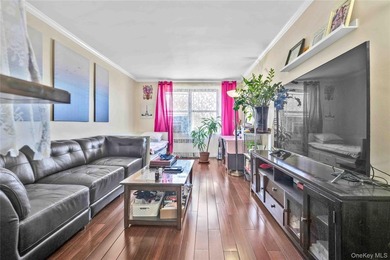 Bright & Spacious 2-Bedroom Co-op in Prime North Flushing - Low - photo 1