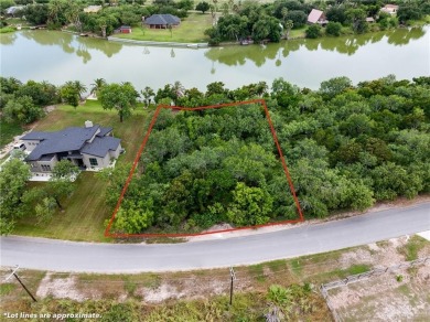 Lake Lot For Sale in Progreso Lakes, Texas