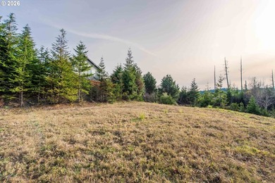 Unlock the potential of this nearly half-acre, cleared in-town - photo 17