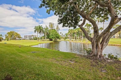 WELCOME TO THIS VERY DESIRABLE CORNER CONDO WITH BEAUTIFUL WATER - photo 22