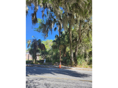 Lake Lot For Sale in Crescent City, Florida
