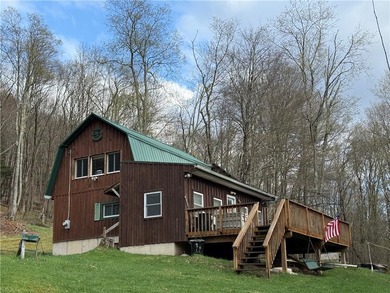 Private Catskills cabin just steps from the Pepacton Reservoir - photo 1