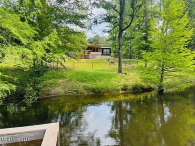 Hilltop Residence and new doublewide overlook a stocked lake and - photo 19