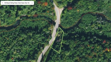 Mountain View Lake Lot For Sale in Mountain View New York
