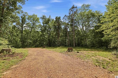 Exceptional Kentucky Lake waterfront property offering quality - photo 41