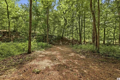 Exceptional Kentucky Lake waterfront property offering quality - photo 42