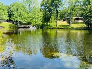 Hilltop Residence and new doublewide overlook a stocked lake and - photo 45