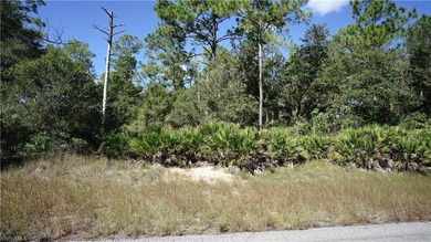 Lehigh Acres Area Lot For Sale in Lehigh Acres Florida