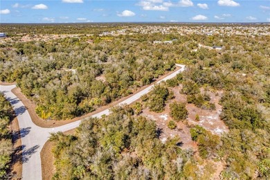 Build your Florida dream home in the peaceful city of Port - photo 11