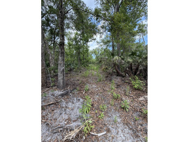 Amazing 37-acre recreational property and potential homesite - photo 11