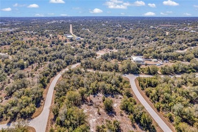 Build your Florida dream home in the peaceful city of Port - photo 15