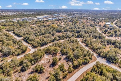Build your Florida dream home in the peaceful city of Port - photo 17
