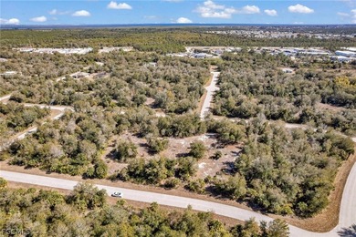 Build your Florida dream home in the peaceful city of Port - photo 19