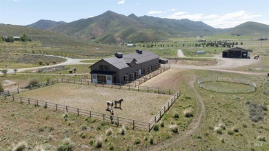 Experience one of the premier luxury horse properties in the - photo 48