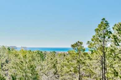 The best priced property on 30A offering these unique and truly - photo 49
