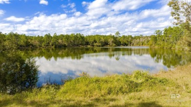 Lake Acreage For Sale in Seminole, Alabama