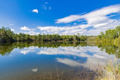 Lake Acreage For Sale in Seminole, Alabama