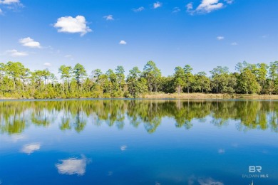 Lake Acreage For Sale in Seminole, Alabama