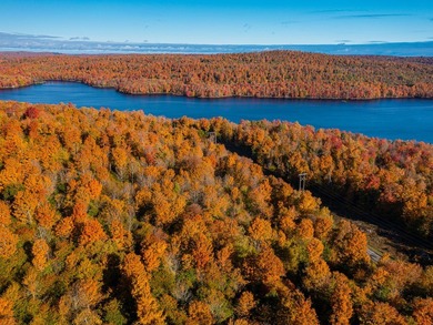 Rainbow Falls Reservoir is a man-made lake located east of South - photo 17