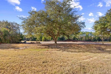 Welcome to 6203 Catalina Dr, Unit 1512 - a beautifully - photo 36