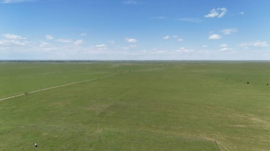 *If you want to have your breath taken away, go to the Rocky - photo 9