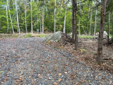 Thomas Pond Lot For Sale in Casco Maine