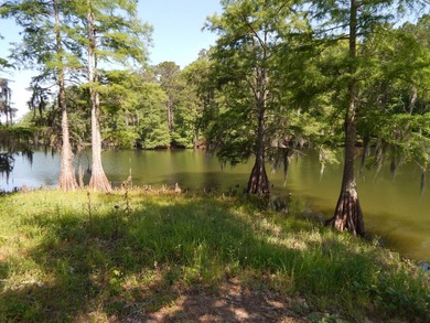 Toledo Bend Reservoir Lot For Sale in Many Louisiana