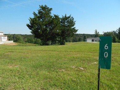 Come build your dream lakehouse in this restricted prestigious - photo 2