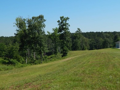 Come build your dream lakehouse in this restricted prestigious - photo 3