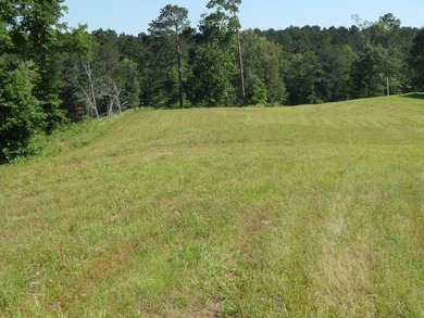 Come build your dream lakehouse in this restricted prestigious - photo 4