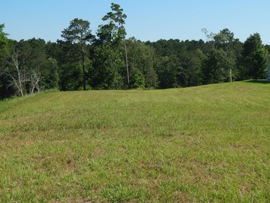 Come build your dream lakehouse in this restricted prestigious - photo 5
